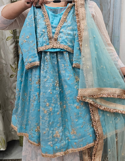 Pure crush silk handwork lehnga set