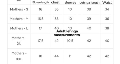 Luxe banrasi weave lehnga set