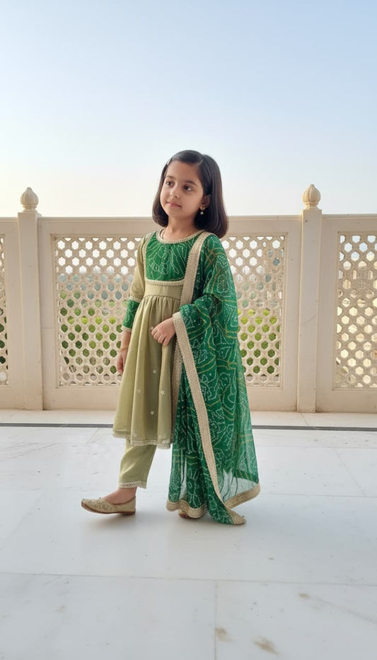 Luxury Party Wear Collection