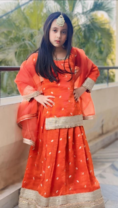 Luxury Lehenga Collection