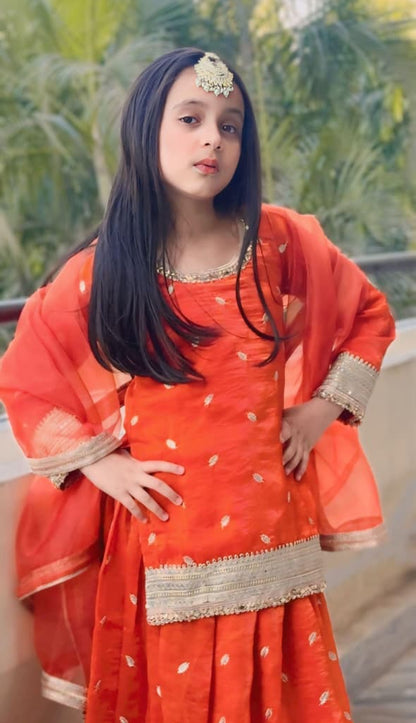 Luxury Lehenga Collection