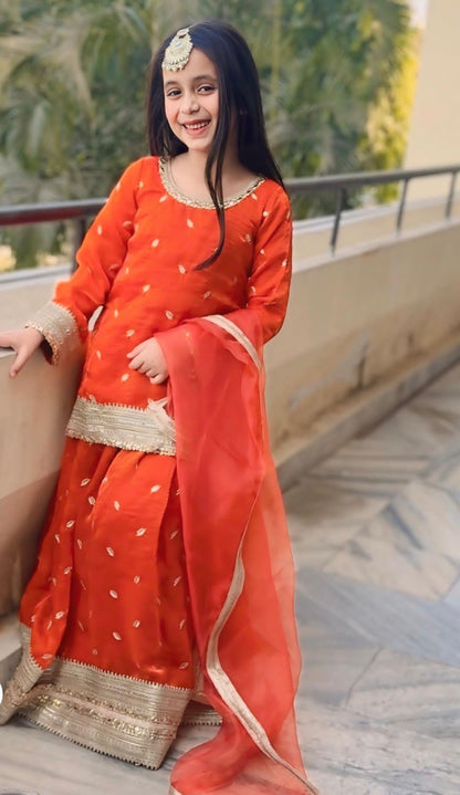 Luxury Lehenga Collection