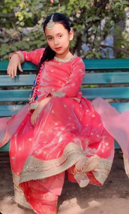 Luxury Lehenga Collection