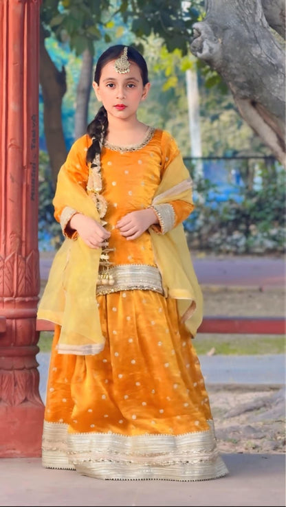 Luxury Lehenga Collection