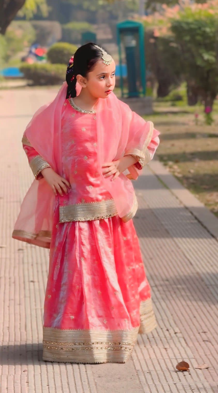 Luxury Lehenga Collection