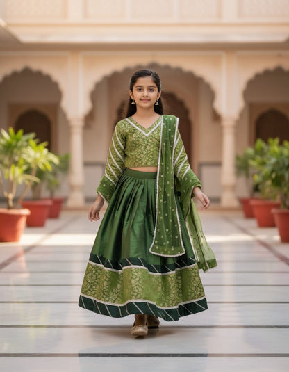 Luxury banrasi silk lehenga sets
