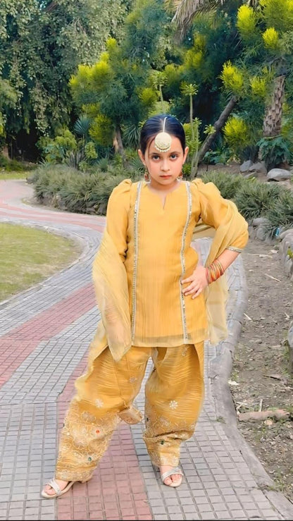 "Patola" Royal Farshi Suit